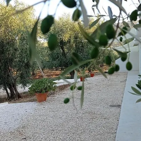 Dimora מאטינאטה